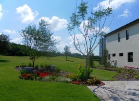 Landscaping Lakeland FL